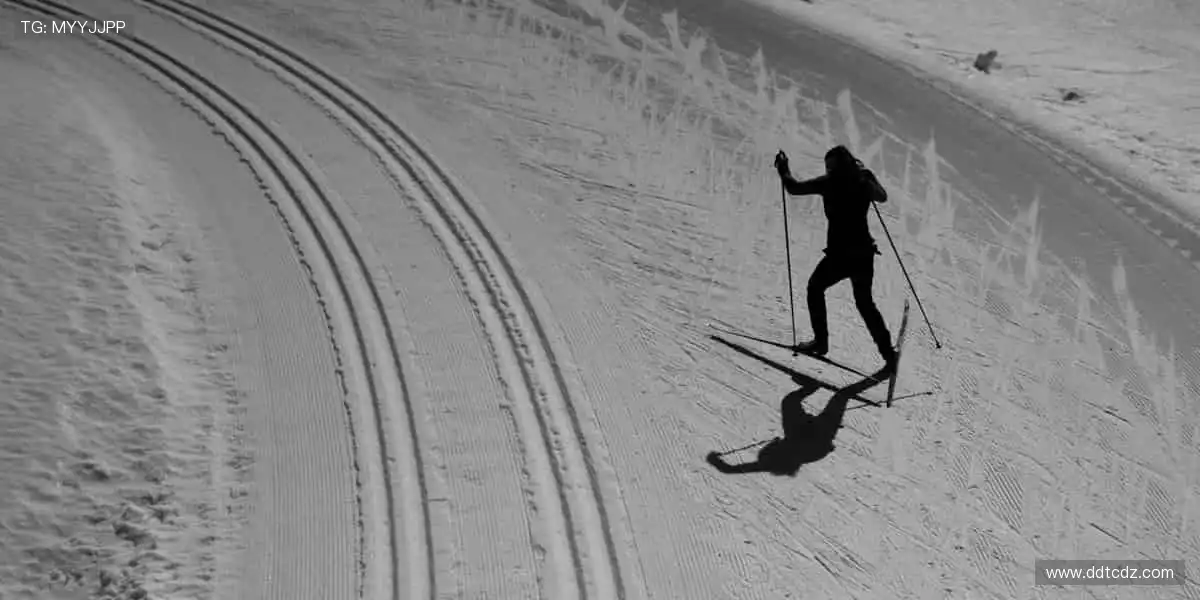 高清直播，沉浸式观赛体验！🎥